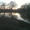 Back Pond
